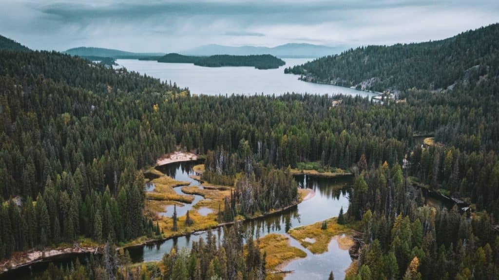 The Best Payette Lake Cruises in McCall DoneRight Vacation Rentals